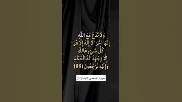 سورة القصص الآية (88) #اكسبلور #المصحف #quran #لايك #الرحمن #تلاوة_خاشعة #kuran #تيك_توك #ترند