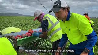 Rocky Ponds Produce - Gumlu Resimi