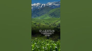 سورة النمل – الآية ٥٩ Surah An-Naml – Ayah 59 #islamic #video