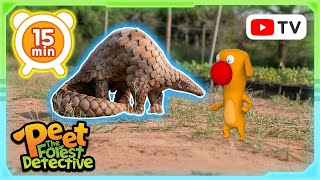 Epic Pangolin Patrol 🐾🌕 | Nature Stories For Kids | Peet The Forest Detective