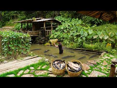 Traditional Rattan Weaving Skills | Catching Fish to Sell at the Market