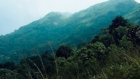 BHUTAN ❄️🍃⛰️|| This is what winter feels like Song || by JVKE ‧ 2024||@Bonnie_401 