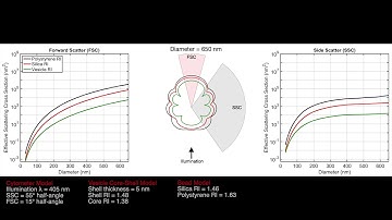 ISEV-ISAC-ISTH FC Working Group - Understanding Light Scatter