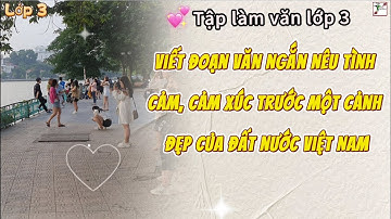 Viết đoạn văn ngắn nêu tình cảm, cảm xúc trước một cảnh đẹp của đất nước Việt Nam -  Lớp 3 | Phần 10