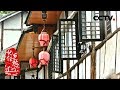《记住乡愁  第五季》第十八集 自贡仙市老街——吃得咸 看得淡 20190125 | CCTV中文国际
