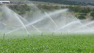 Super Simple Sprinkler Irrigation System Installation complete process step by step, Drip Irrigation