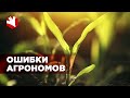 Ошибки агрономов | Как получить высокий урожай?