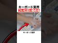 キーボード業界ついに狂い始める