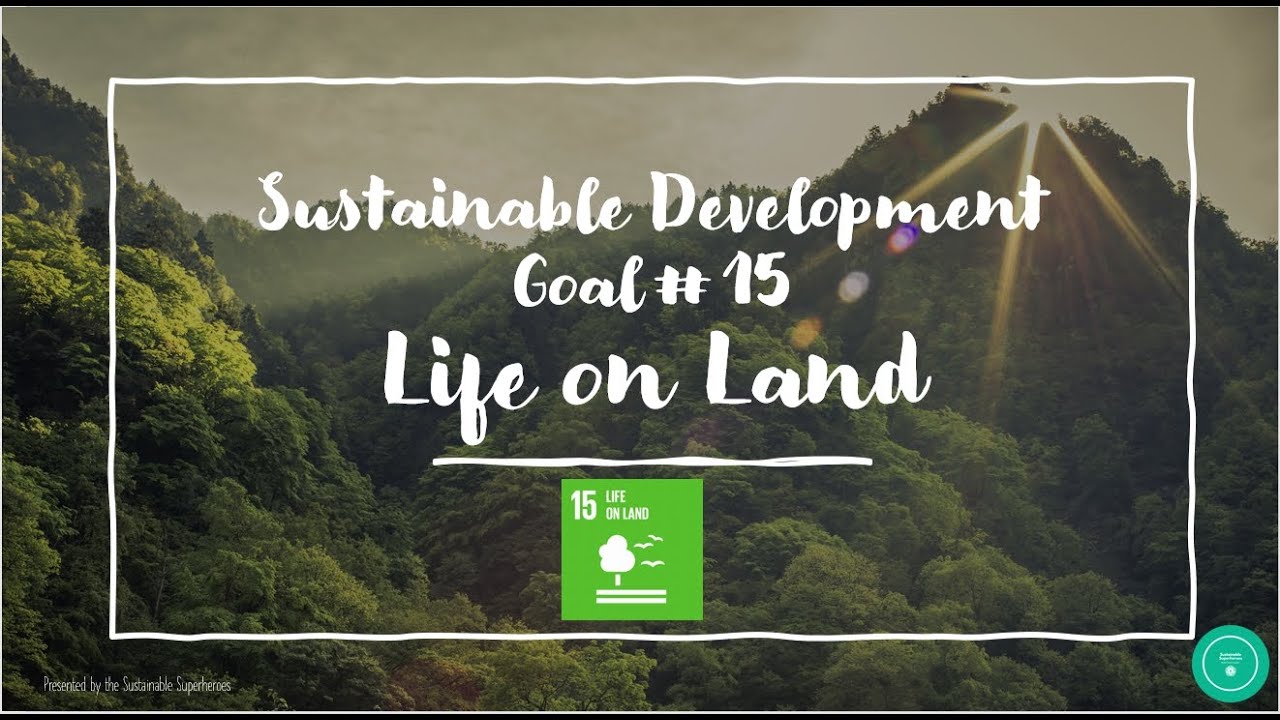Sustainable Development Goal 15 Life On Land Youtube vrogue.co