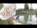 Large mussels were fished out of a small pond. Harvest round and plump white large pearls