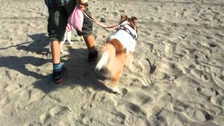 DSCF5010.AVI