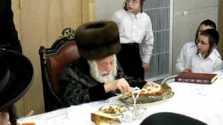 Skulener Rebbe Tu B'Shvat Tisch In Boro Park  3