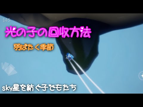 [sky星を紡ぐ子どもたち]光の子回収羽ばたく季節
