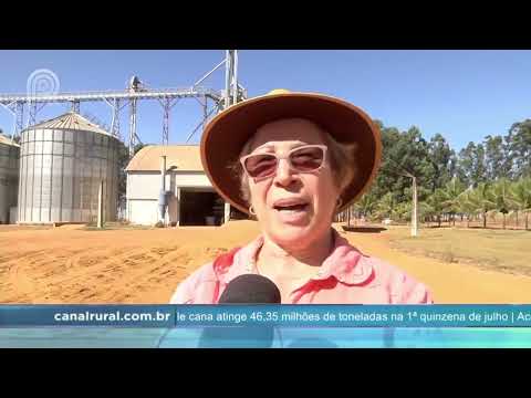 Dia do Agricultor - Mercado & Cia - 28/07 |Canal Rural