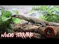 NUEVO TERRARIO/NUEVO REPTIL 🦎 🐊🐍