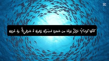 (الله نور السموات والأرض) طارق محمد.✨️ تلاوة خاشعة للقرآن الكريم بصوت جميل🌸 #القرآن_الكريم 