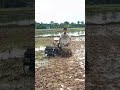 mini tractor capung metal in action #traktorsawah #shorts