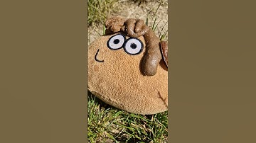 Pou got pooped on the head 😂💩 #pou #plushie #plushtoy