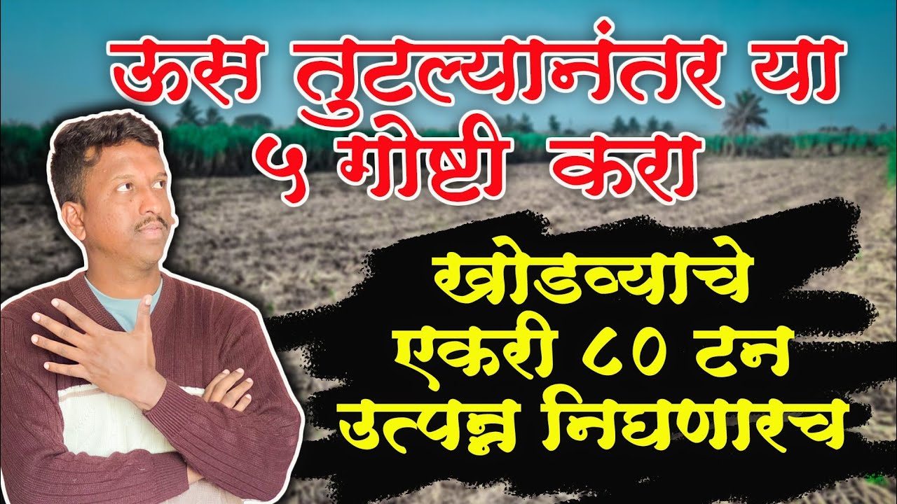 ऊस तुटल्यानंतर पहिल्यांदा या ५ गोष्टी करा||खोडव्याचे एकदम कमी खर्चात एकरी ८० टन उत्पन्न #शेतकरी #ऊस 