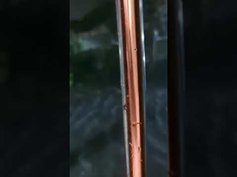 Ciclone eloise #Beira #cyclone eloise