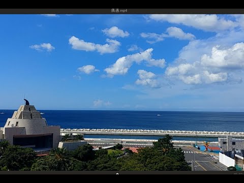 林志美  《偶遇》