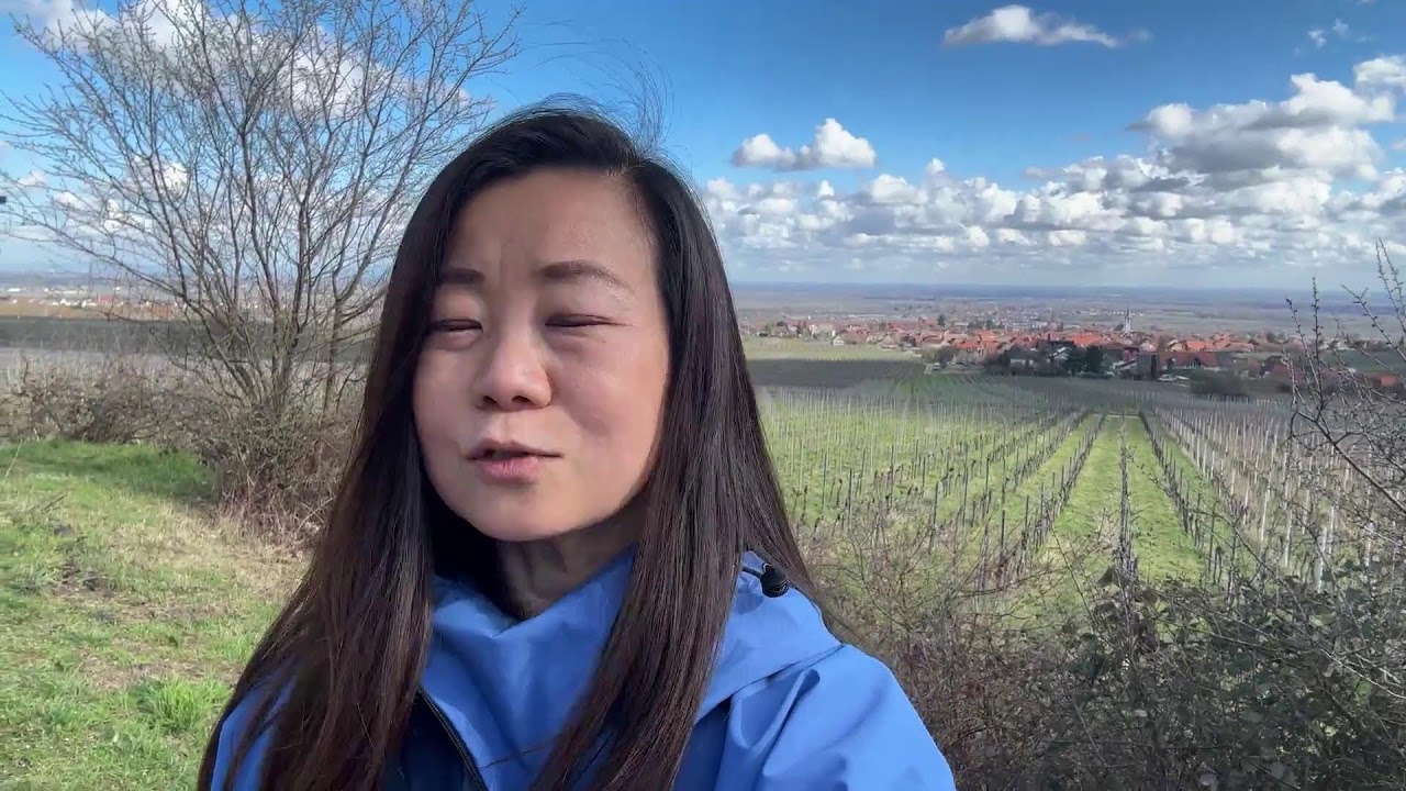 ライブ中継！Day 1 ドイツ・アーモンドの小道ハイキング(Mandelpfad) 4/7