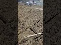 The mud in Oracle Park was unreal #supercross #motocrosss #promotocross
