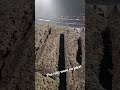 The mud in Oracle Park was unreal #supercross #motocrosss #promotocross