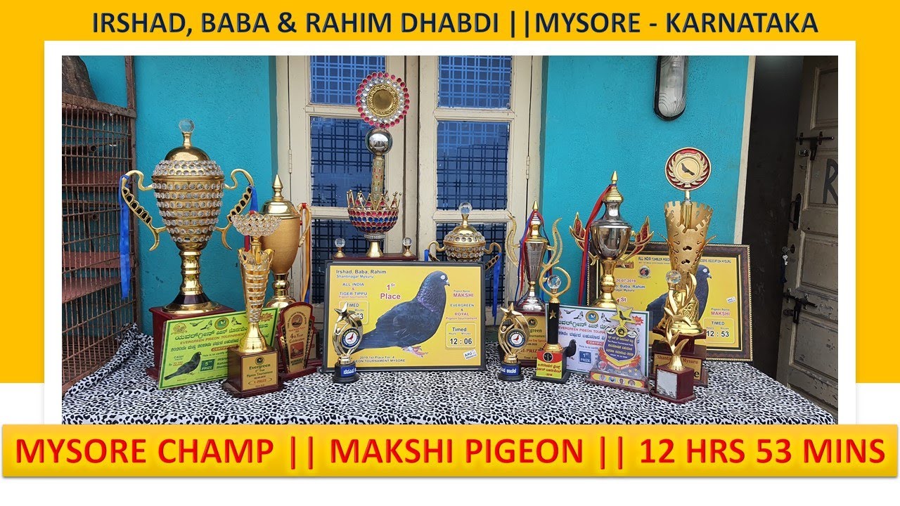 MYSORE CHAMP || MAKSHI PIGEON || 12 HRS 53 MINS || IRSHAD, BABA & RAHIM DHABDI || MYSORE - KARNATAKA