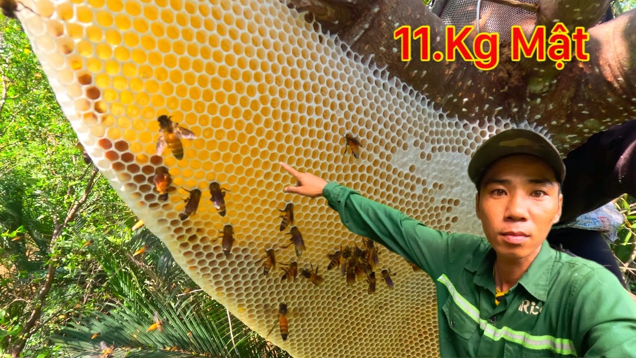 NHỜ ÔNG BÀ ĐỘ HÔM NAY NGHỀ MƯU SINH LỤM ĐƯỢC TIỀN TRIỆU