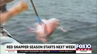 Alabama’s red snapper season opens May 27