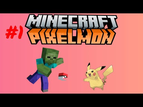 #1/Pixelmon