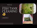 A day with my parents  fish tank cleaning day too youtube