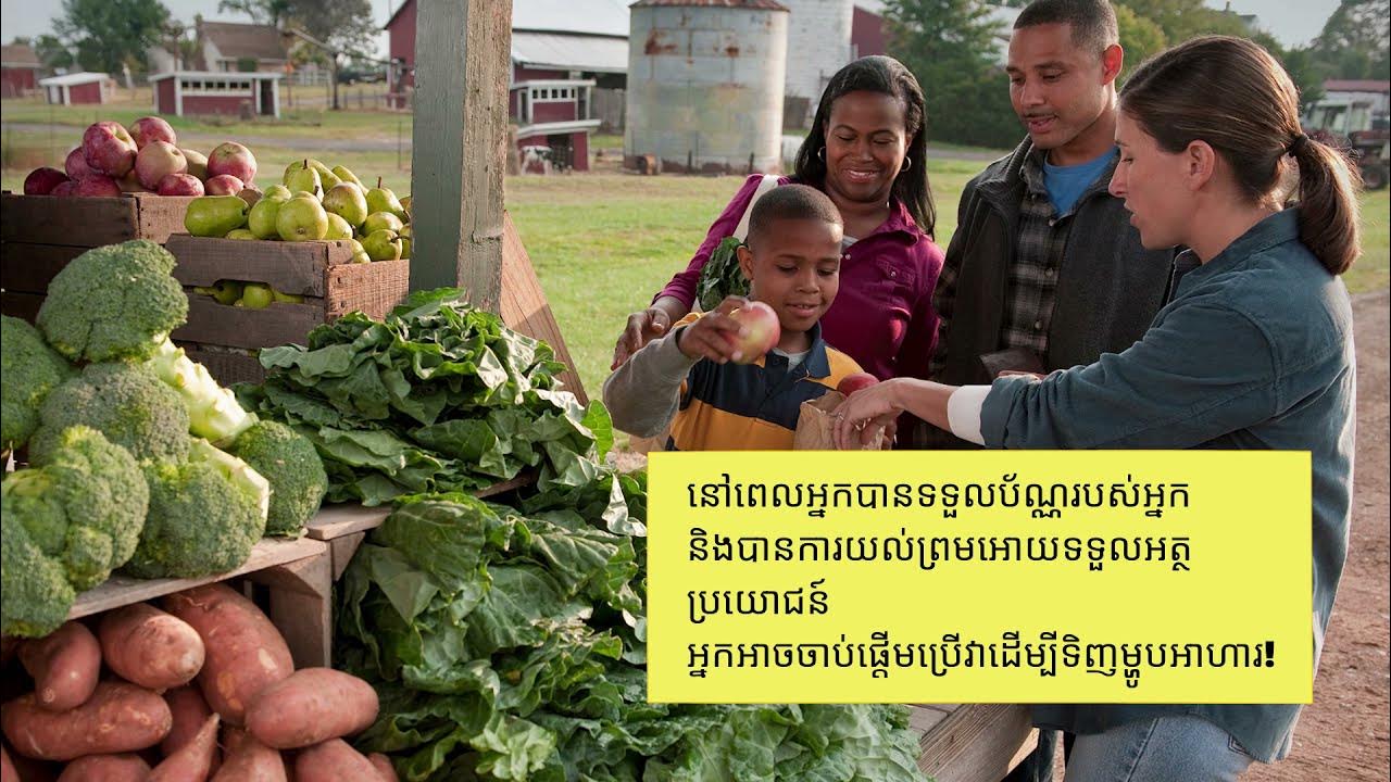 How to apply for SNAP benefits in Massachusetts (Khmer) YouTube