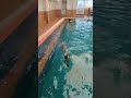 Duck dive