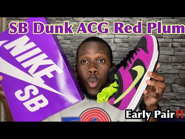 Nike Dunk SB Low Pro ACG Terra Red Plum
