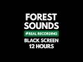 Forest Sounds At Night Relaxing Nature Sounds Crickets For Sleeping Black Screen 12 Hours 