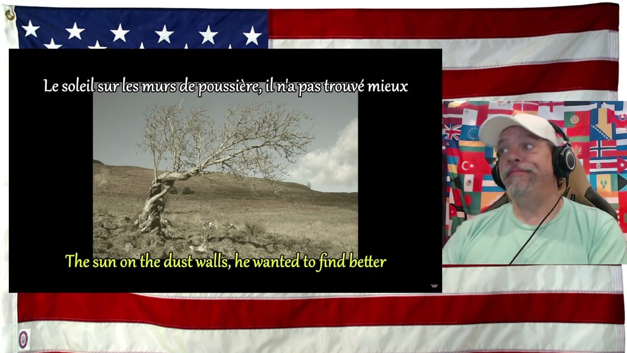 FRENCH LESSON - learn french with music + translation ) F. Cabrel - Les murs de poussière- REACTION