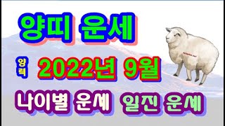 9월 양띠 운세 - 2022년 9월 임인년 기유월 양띠 일진 사주 운세보기