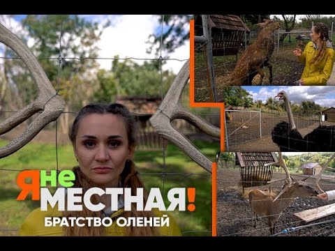 Я не местная. Крымгиреевское: оленья ферма. Часть 1: братство оленей