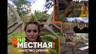 Я не местная. Крымгиреевское: оленья ферма. Часть 1: братство оленей