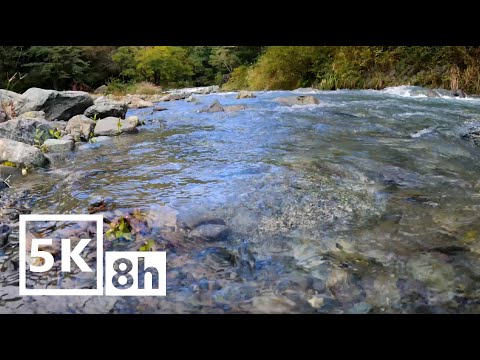 【5K】癒しのせせらぎ 8時間　ASMR 自然音　Water Sounds 睡眠、勉強、作業用   sleep/study/healing