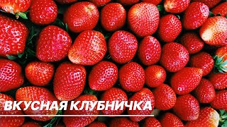 В России начался клубничный сезон. Как выбрать сладкую и сочную ягоду?