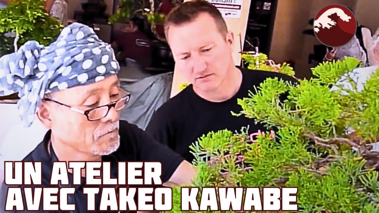 Notre Atelier avec Takeo Kawabe à Monaco 🌱 NEJIKAN BONSAI 🌱