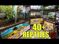 Reptile Room Tour June 2020!! 40+ REPTILES!