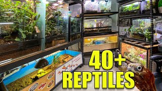 Reptile Room Tour June 2020!! 40+ REPTILES!