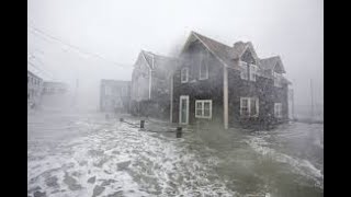 From New England to Global Climate Change: Dr William Schlesinger Cary Institute of Ecosystem Studi