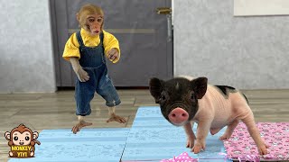원숭이 이이는 아기 돼지를 받고 깜짝 놀랐습니다.