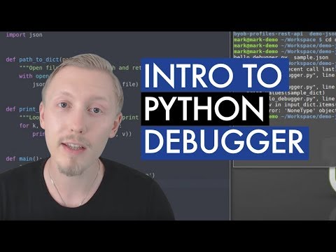 Pythonデバッガーの概要