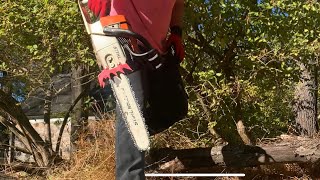 Download Lagu Stihl MS260 PRO, trialed new felling dogs MP3 Download Lagu Stihl MS260 PRO, trialed new felling dogs MP3